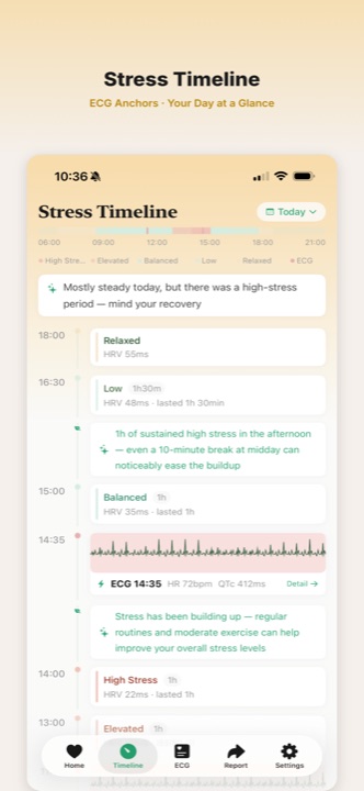 Stress timeline with ECG events