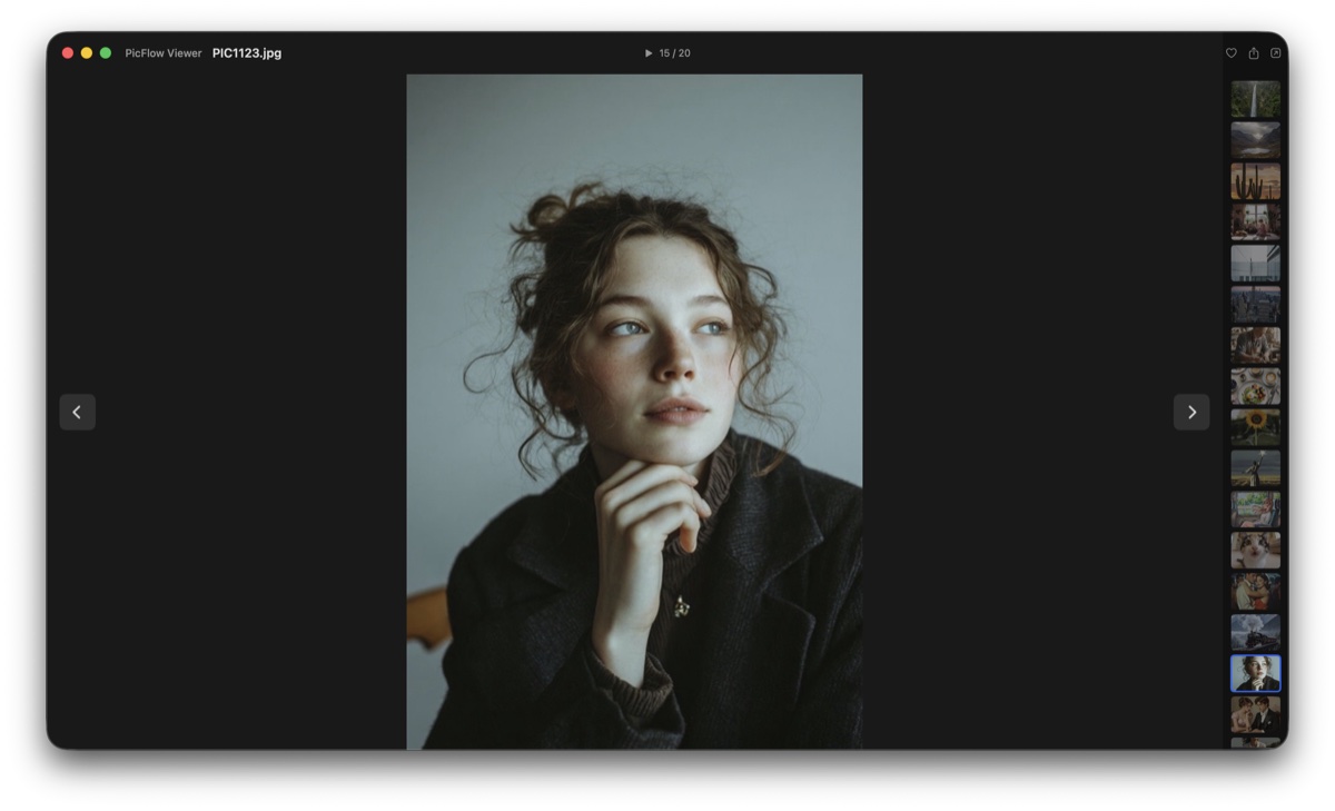 Fullscreen viewer